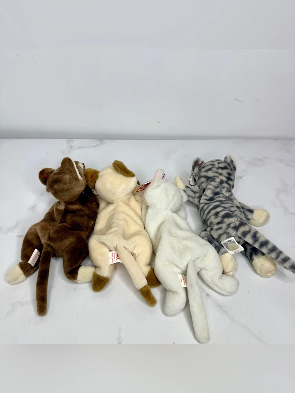 TY Beanie Babies Cat Plush Set